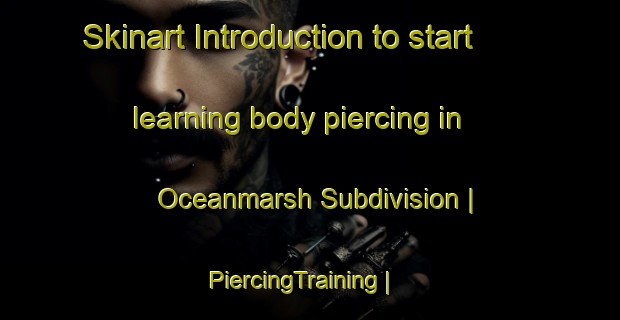 Skinart Introduction to start learning body piercing in Oceanmarsh Subdivision | PiercingTraining | PiercingClasses | SkinartTraining-United States